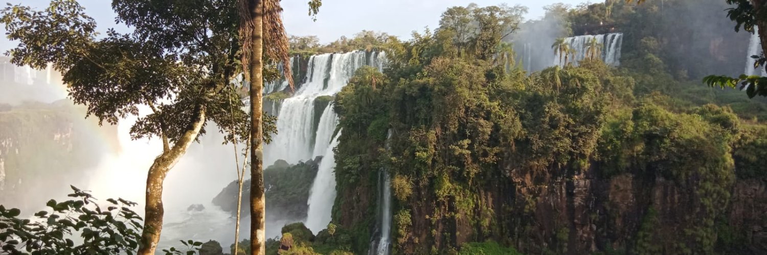 Veronica Furey banner