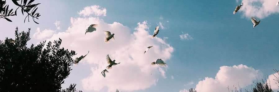 مبارك بن منير الشرافي (رحمه الله)🌧🌧🌧 banner