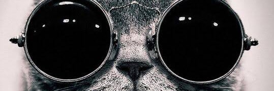 wy banner
