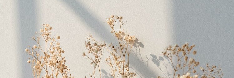 shairebortera's profile banner image