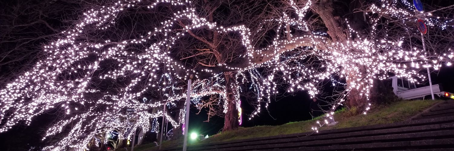 うぃきっど🧨 🌃 banner