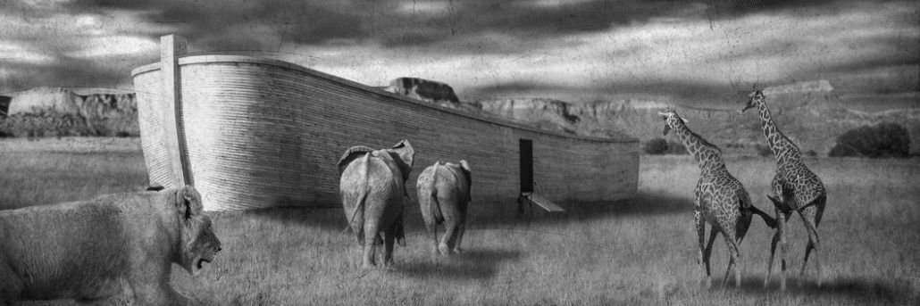 DaoArca's profile banner image