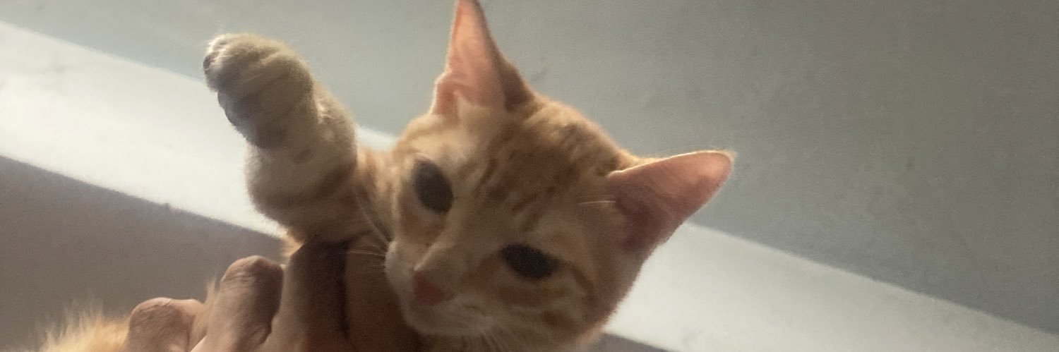 akabudy's profile banner image