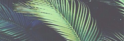 heyouuo's profile banner image