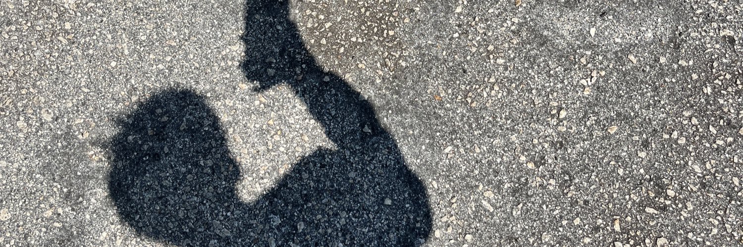apisreee's profile banner image