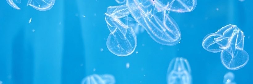 monomaaaaane's profile banner image