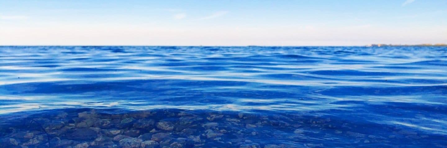 AK.TheSavior369 banner
