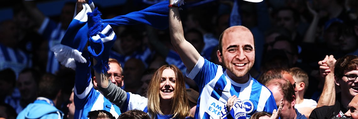 Mile High Seagulls banner