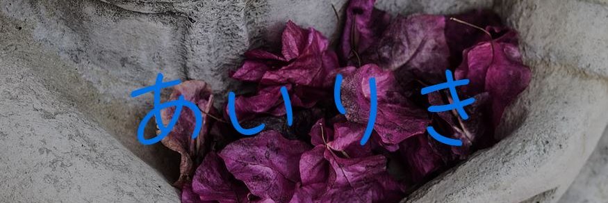 airiki_program's profile banner image