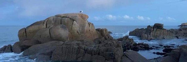 jennebasie Profile Banner