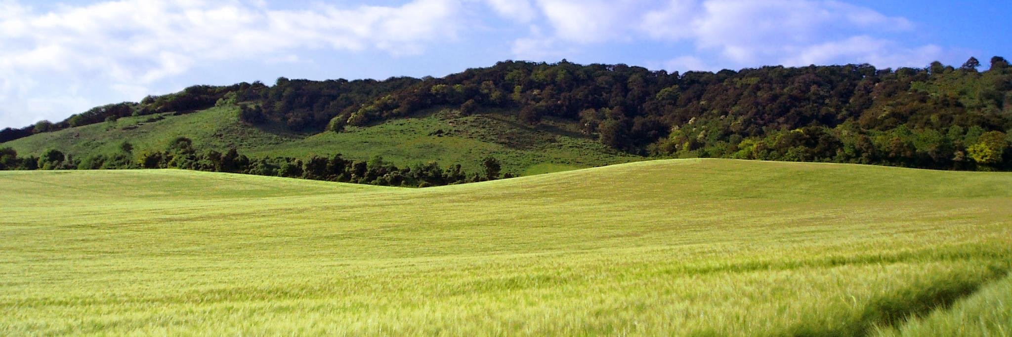 In & Near Kent banner