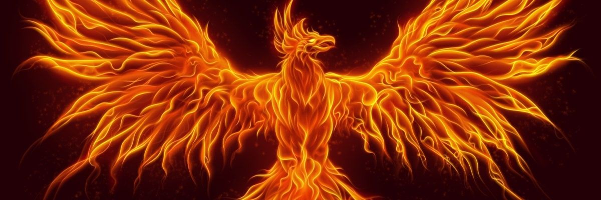 DzLjtx's profile banner image