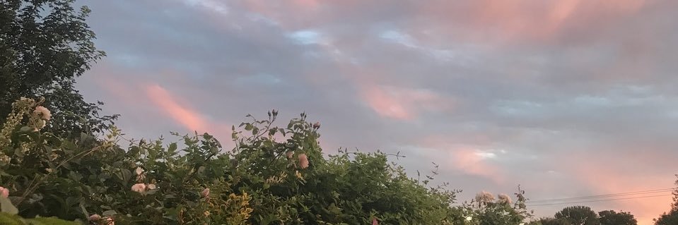 sayitslea's profile banner image