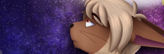 Sebanierre 18+ banner