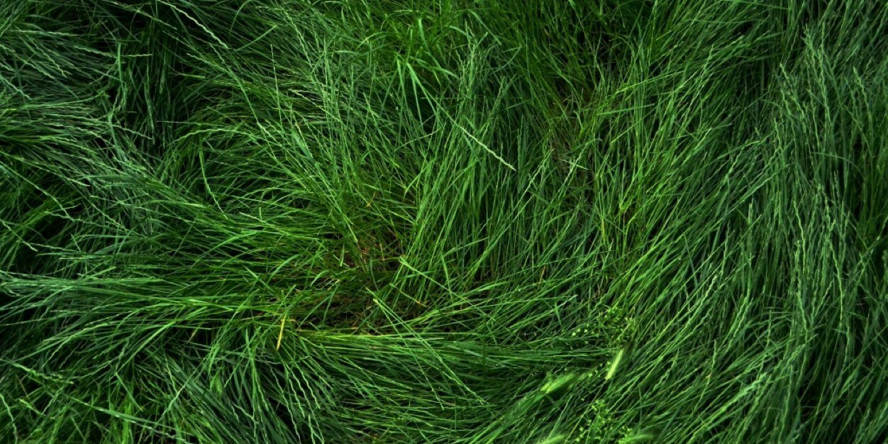 JhoanMLopez's profile banner image