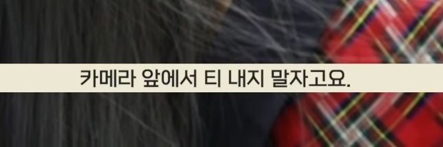 닷센.zip banner