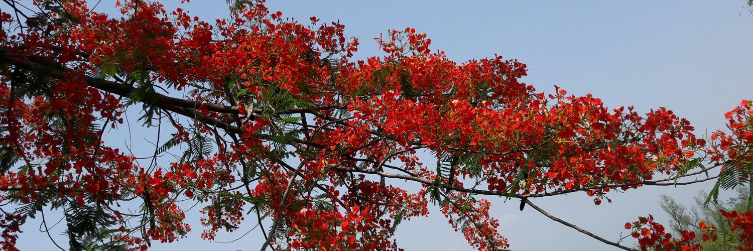 Sumanwvb's profile banner image