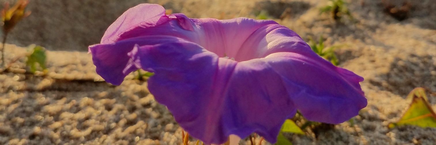 andrighetti35's profile banner image