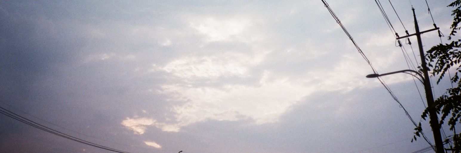규냥업고튀어 banner