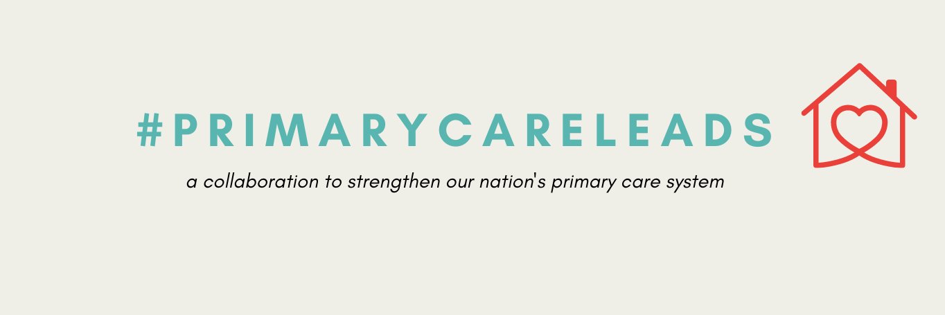 Primary Care Leads banner