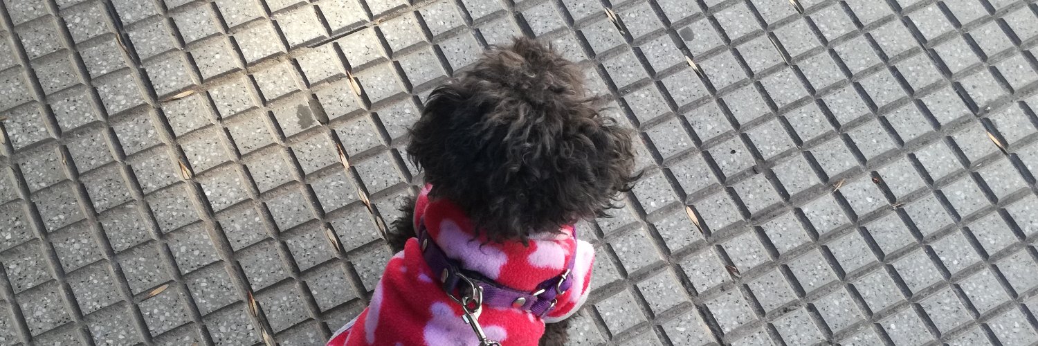 verodelastreet's profile banner image