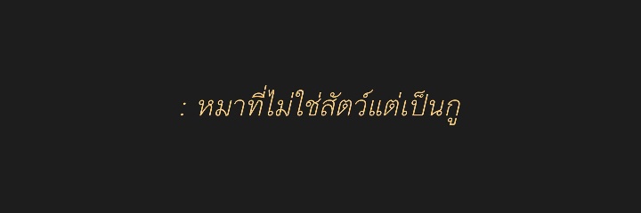 ꪚ banner