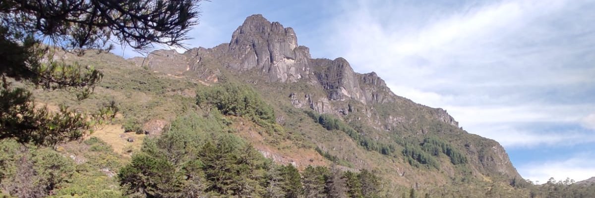 cesitarloja's profile banner image