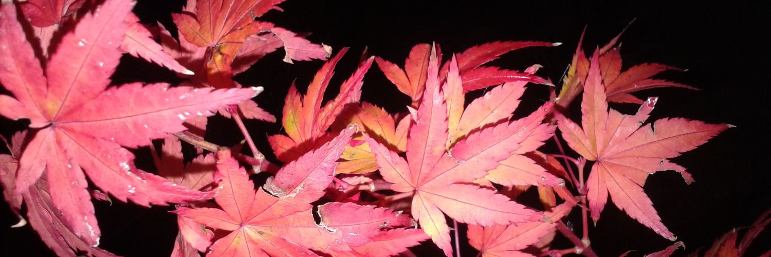 sirensnake12's profile banner image