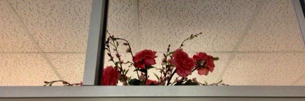 messquerade's profile banner image