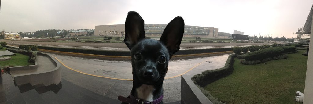mikegoodness's profile banner image