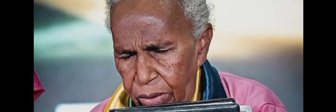 FlySkyline.3c banner