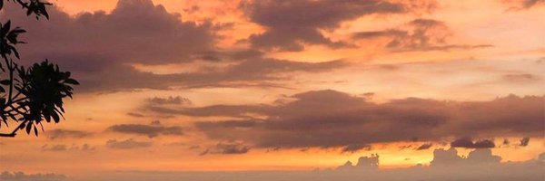 maybebi477 Profile Banner