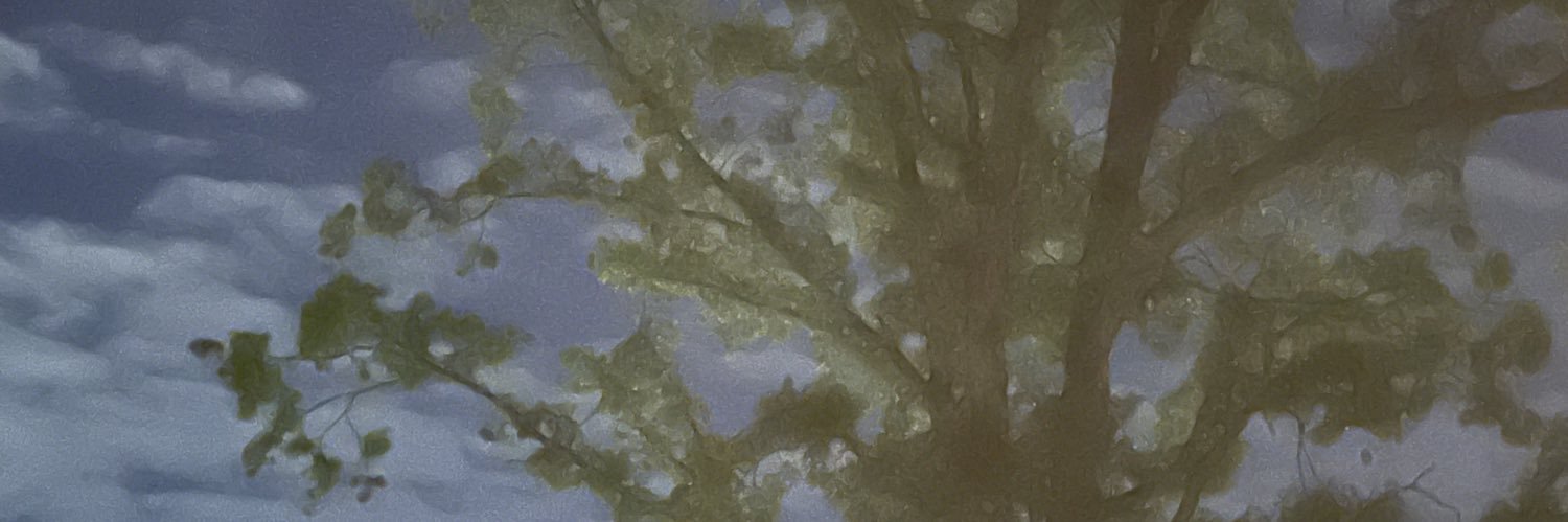 Wu Wei banner