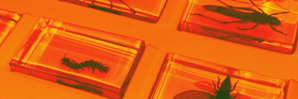 wwtrlwtch Profile Banner