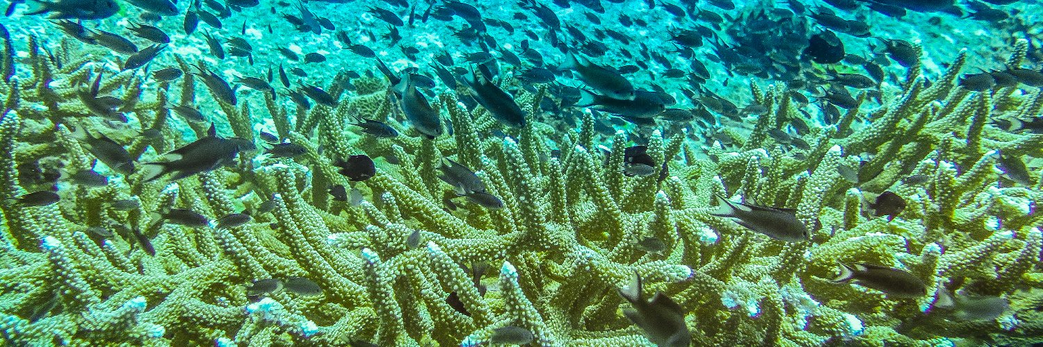 SCB Marine Program banner