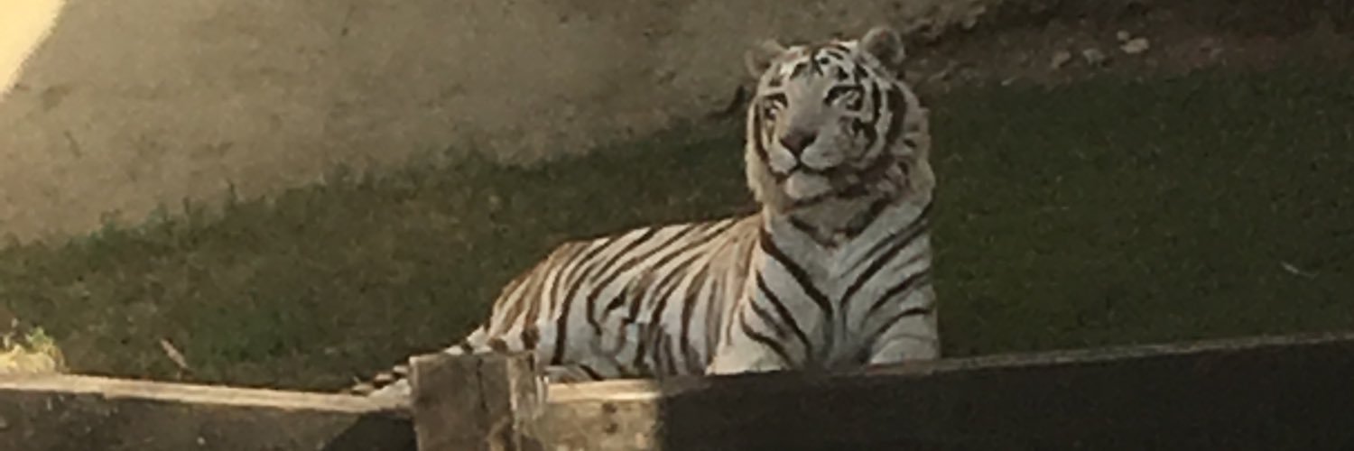 HC_Macias's profile banner image
