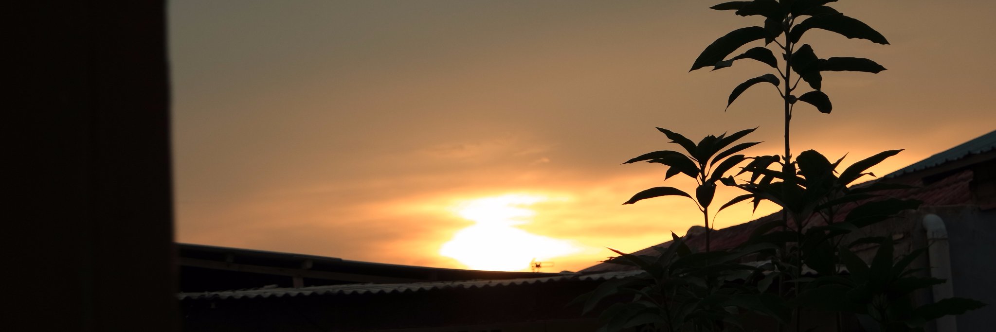 adiTriwa's profile banner image