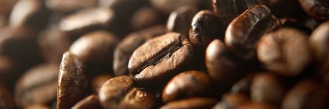 Carajillo1969's profile banner image