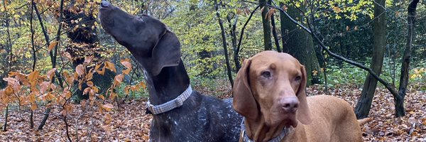 JimmyNurseNotts Profile Banner