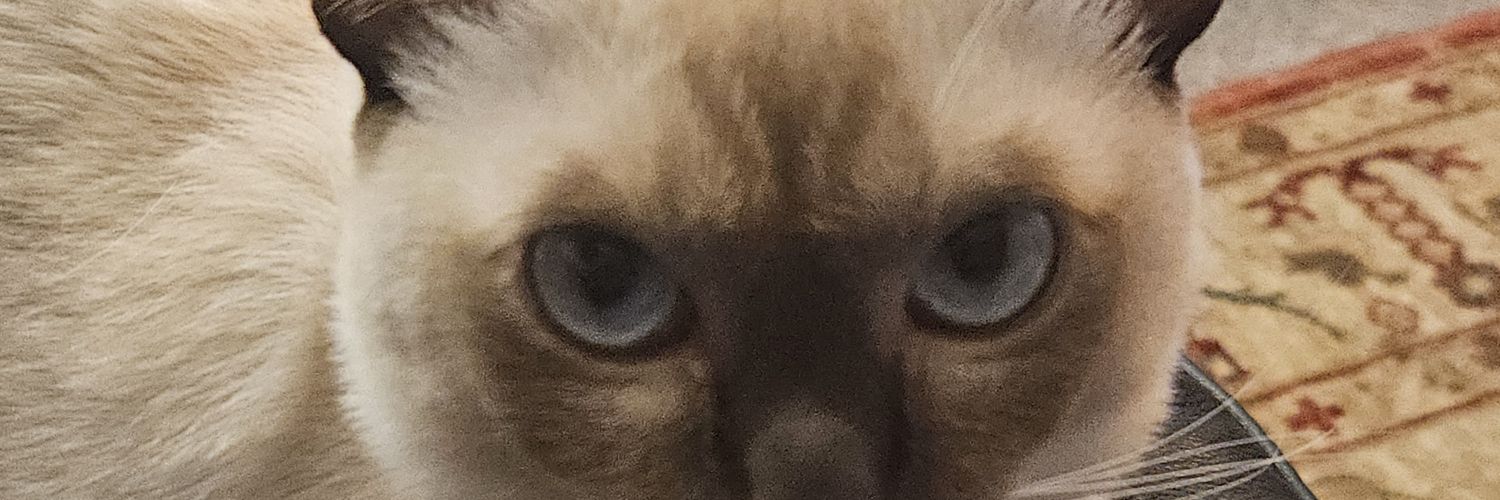 redwinewombat's profile banner image