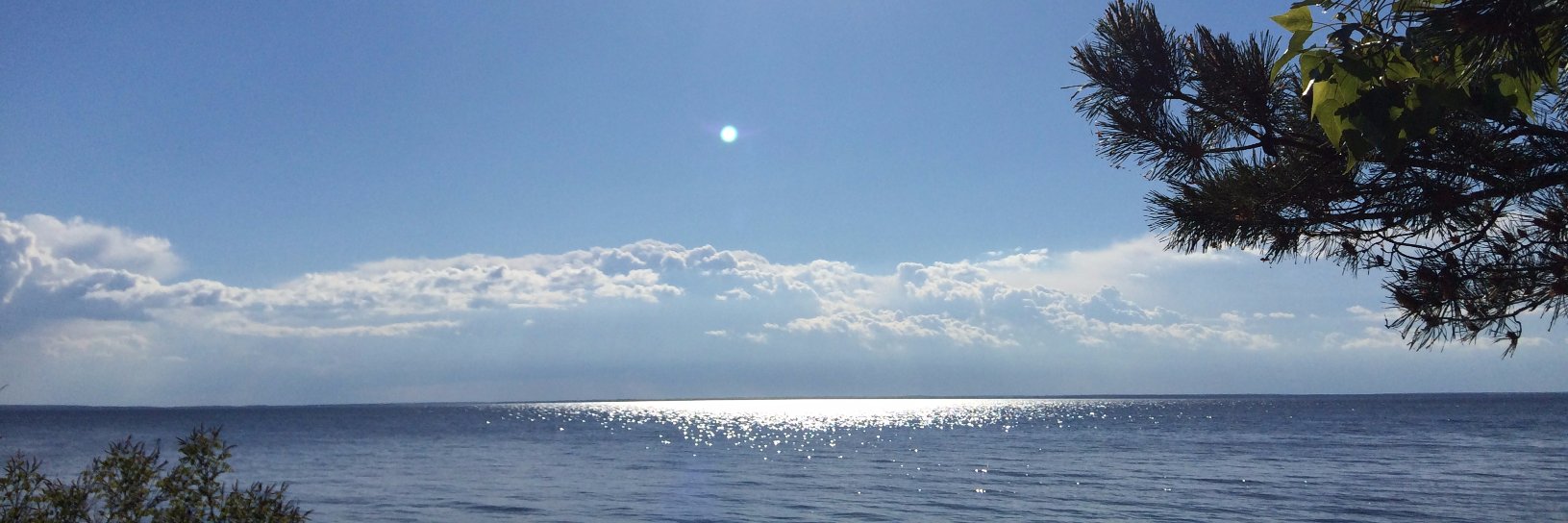 Nikita Lukianets banner