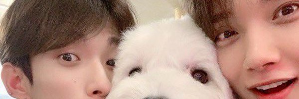 tt_twot Profile Banner