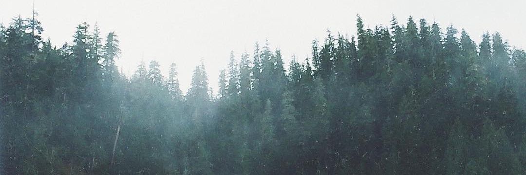 Katherine_chb's profile banner image