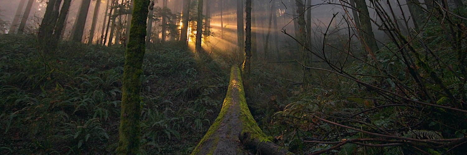 Patrick Lightbody banner