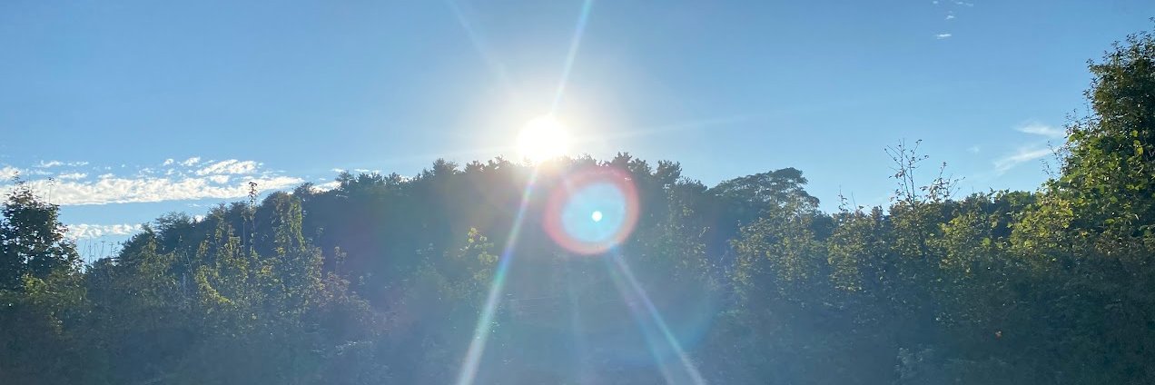 blossoming | ETHGas ⛽ banner