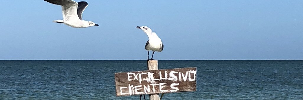 PastraMan's profile banner image