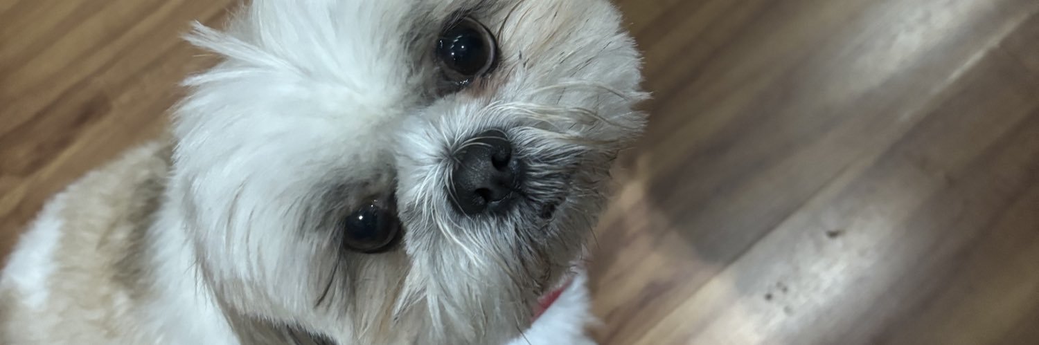 zanandreisg's profile banner image