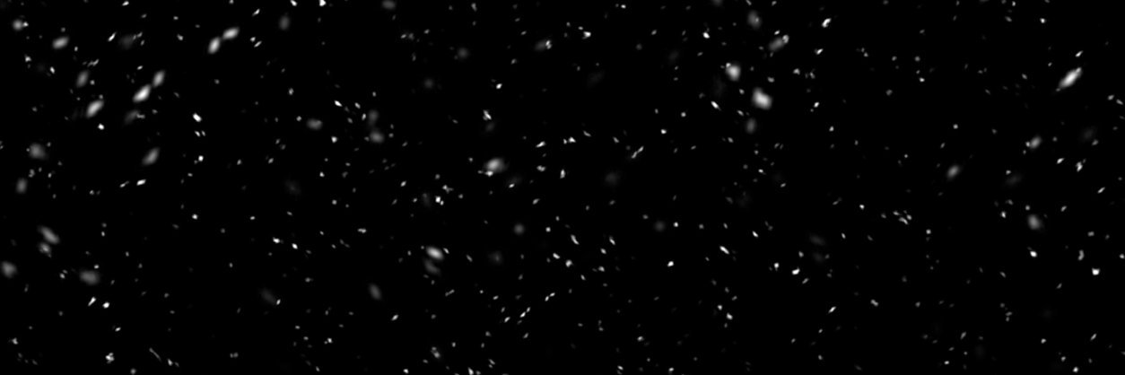 MegMcMa's profile banner image