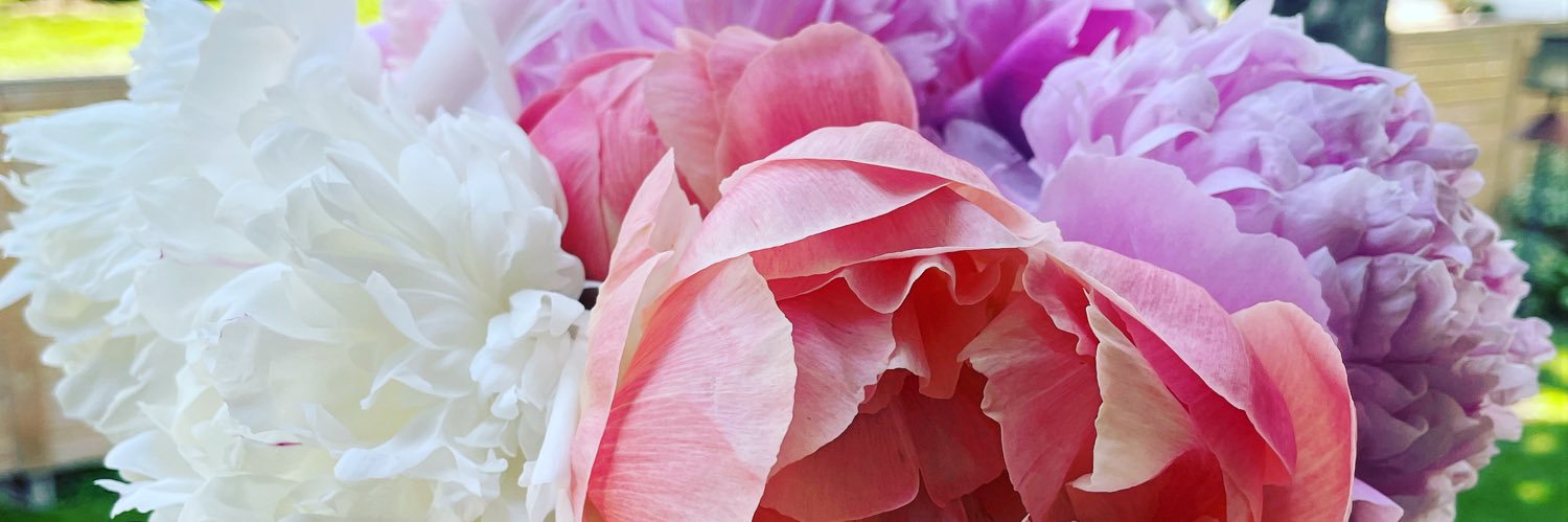 Chelsea Novak banner