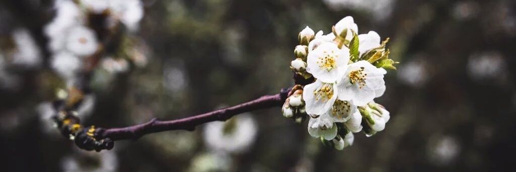 ApungHadijah's profile banner image